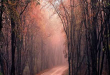 里程碑，格雷罗完成德甲生涯第200次出场.