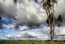 28圈官网：国足世预赛小组对手出炉：与新加坡韩国泰国同组中国体育微博.