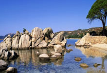 CBA排名乱了！广厦三杀广东，北京8连胜疯狂出击，季后赛悬念消失.